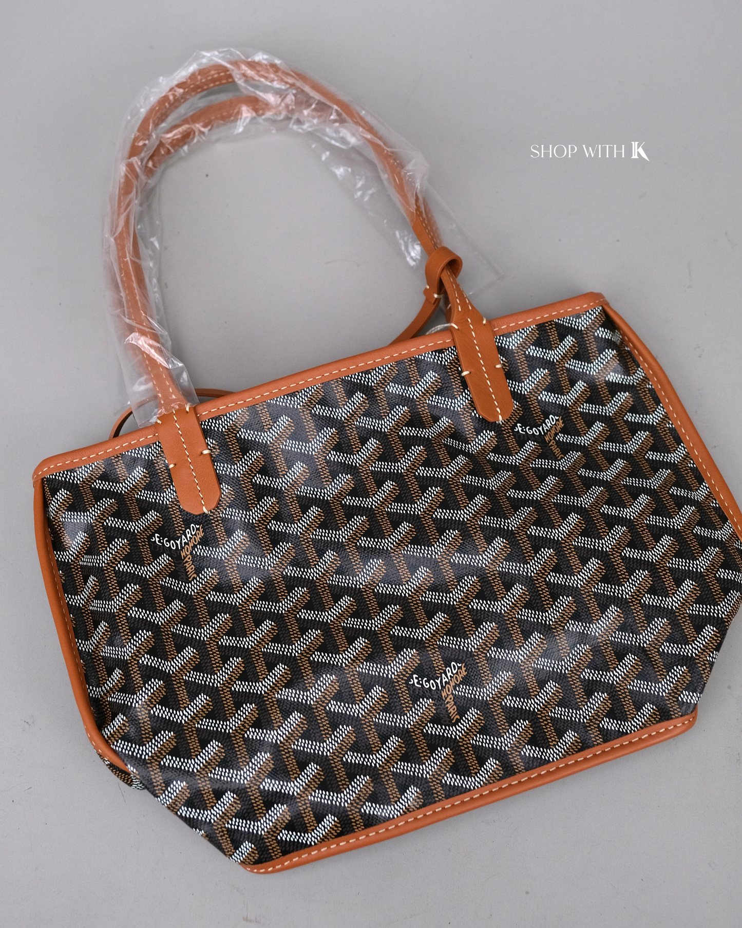 Goyard Mini Anjou Black/Tan
