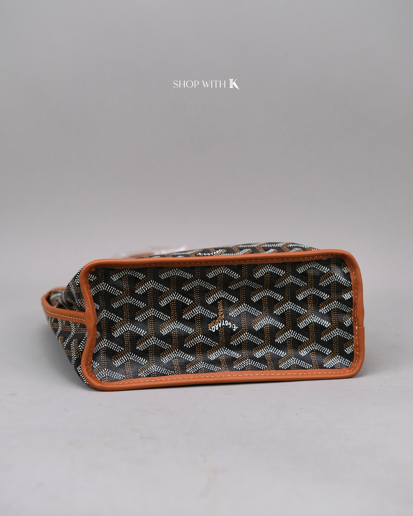 Goyard Mini Anjou Black/Tan