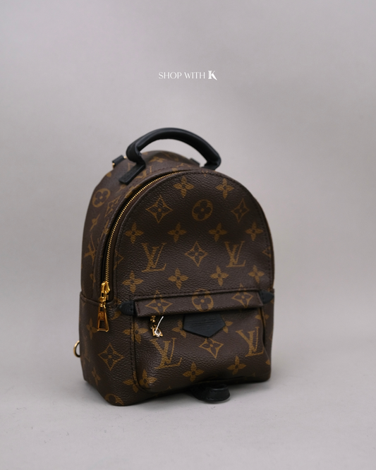 Louis Vuitton Mini Palm Springs Monogram