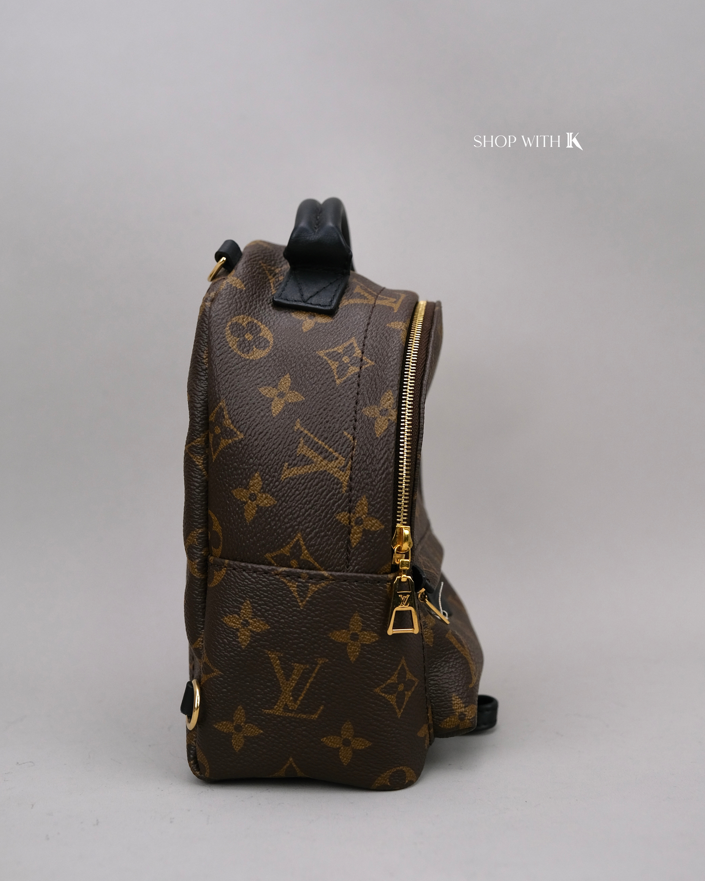 Louis Vuitton Mini Palm Springs Monogram
