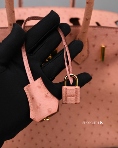 Hermes Birkin 30 Ostrich Terre Cuite GHW