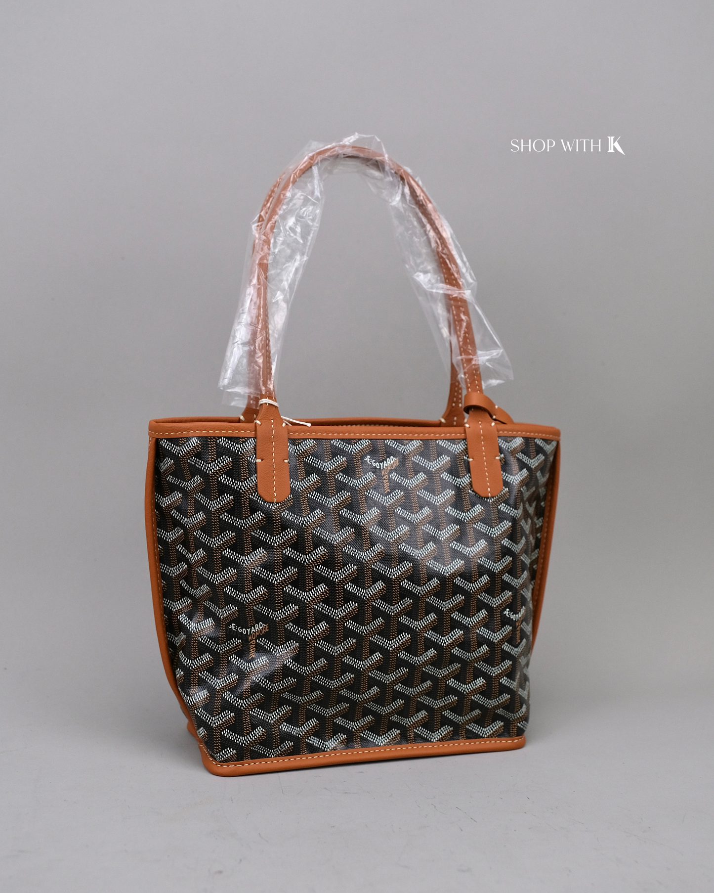 Goyard Mini Anjou Black/Tan
