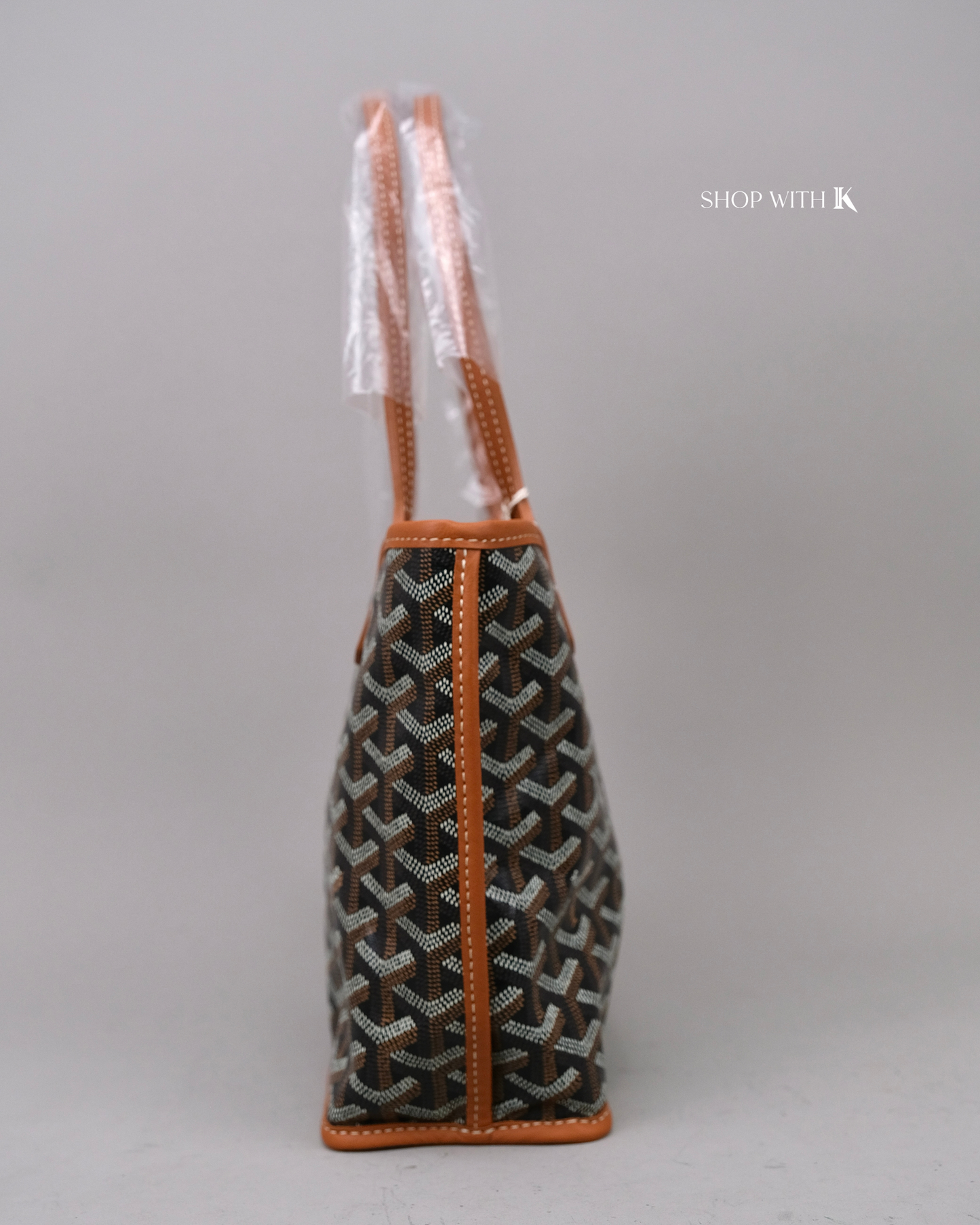 Goyard Mini Anjou Black/Tan