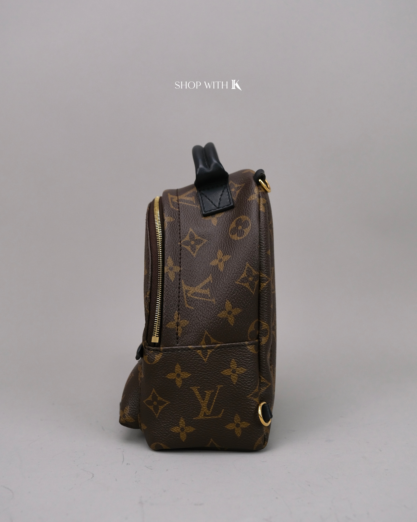Louis Vuitton Palm Springs Backpack