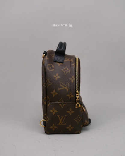 Louis Vuitton Palm Springs Backpack