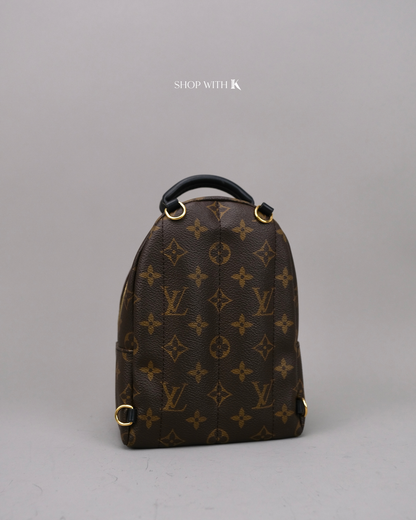 Louis Vuitton Palm Springs Backpack